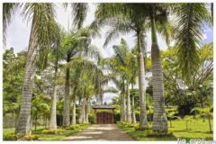Sede Campestre - Finca en Dagua, Valle del Cauca